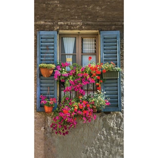 Tuinschilderij Blue shutters - 130x70 cm