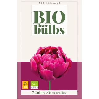Tulipa Alison Bradley Biologisch 7 st.