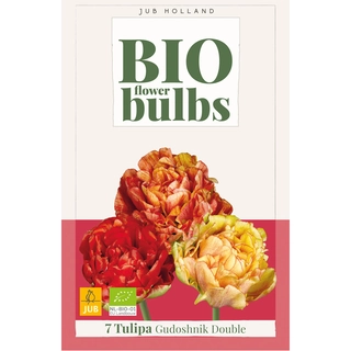 Tulipa Gudoshnik Double Biologisch 7 st.