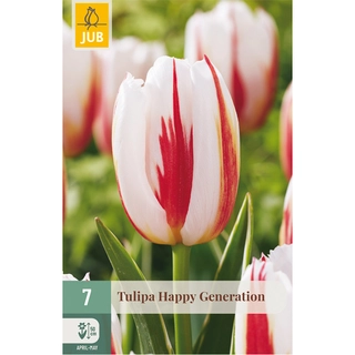 Tulipa Happy Generation 7 st.