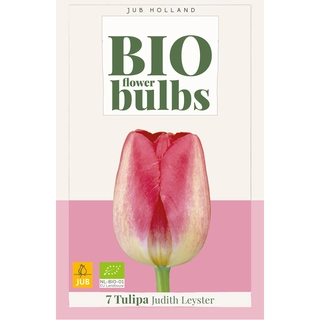 Tulipa Judith Leyster Biologisch 7 st.