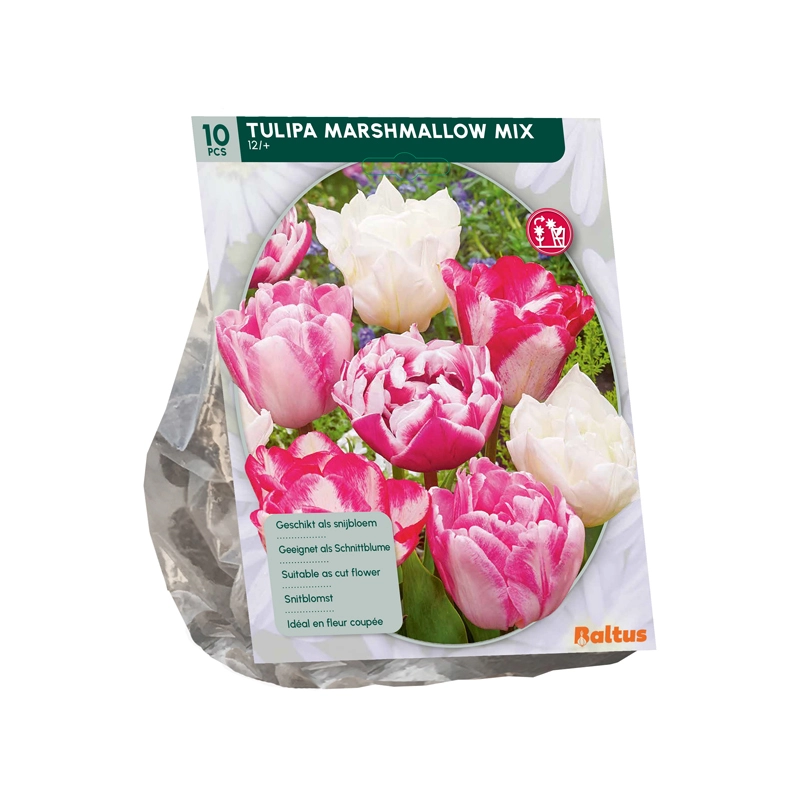 Tulp Marshmallow Mix 10 st.