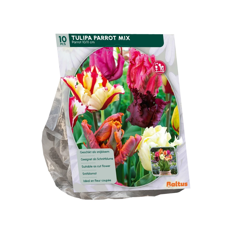 Tulp Parkiet Mix 10 st.