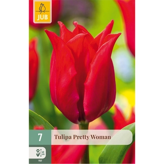 Tulipa Pretty Woman 7 st.