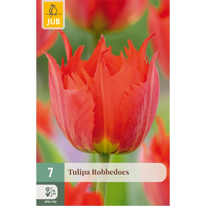 Tulipa Robbedoes 7 st.