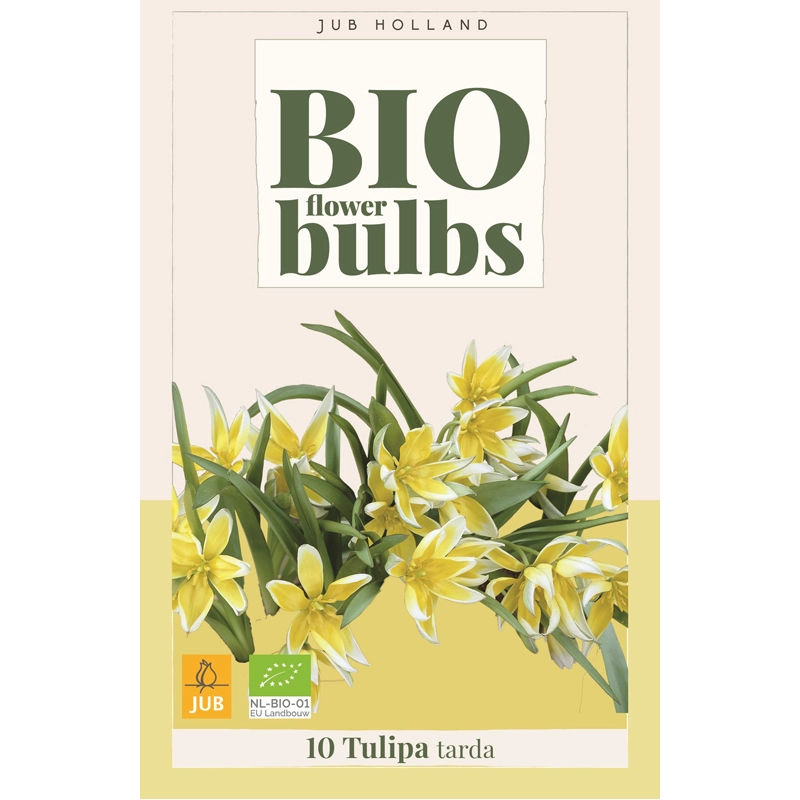 Tulipa Tarda Biologisch 10 st.