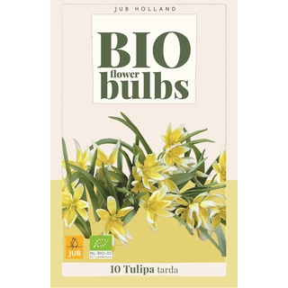 Tulipa Tarda Biologisch 10 st.