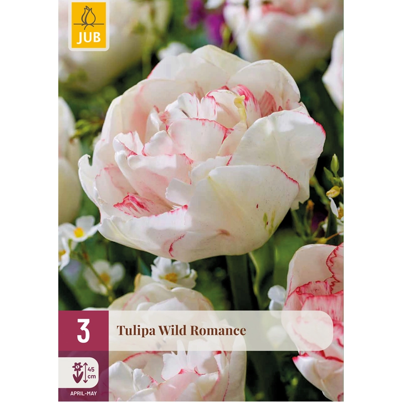 Tulipa Wild Romance 3 st.