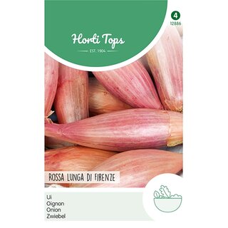 Horti Tops Uien Rossa lunga di Firenze - afbeelding 1