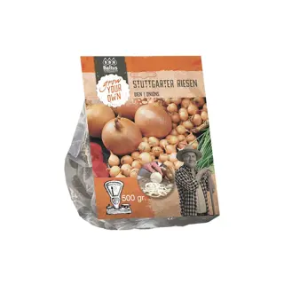 Baltus Uien Stuttgarter Riesen - 500 gr | Tuincentrum De Boet