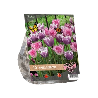 Urban Flowers Royal Ribbons 10 st.
