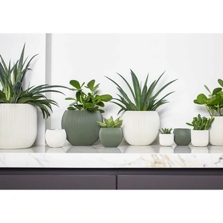 Capi Vaas Bol Groove 29x26 cm - Groen - afbeelding 2