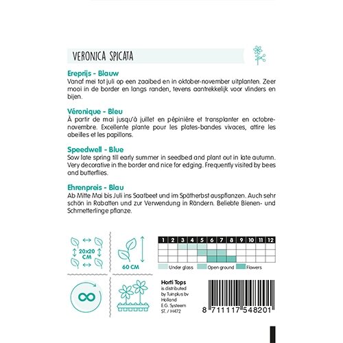 Horti Tops Veronica, Ereprijs blauw - afbeelding 2