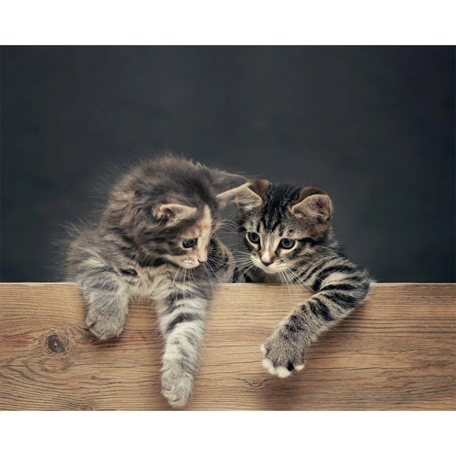 Vogelvoederlijstje Twee Katjes L - 51x42 cm - afbeelding 2