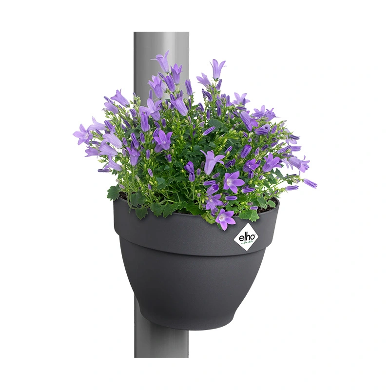 Elho Vibia Campana Regenpijpbakje 19 cm - Antraciet - afbeelding 2