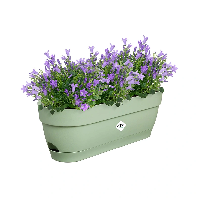 Elho Vibia Campana Balkonbak 50 cm - Pistache Groen - afbeelding 3