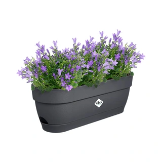 Elho Vibia Campana Balkonbak 70 cm - Antraciet - afbeelding 3