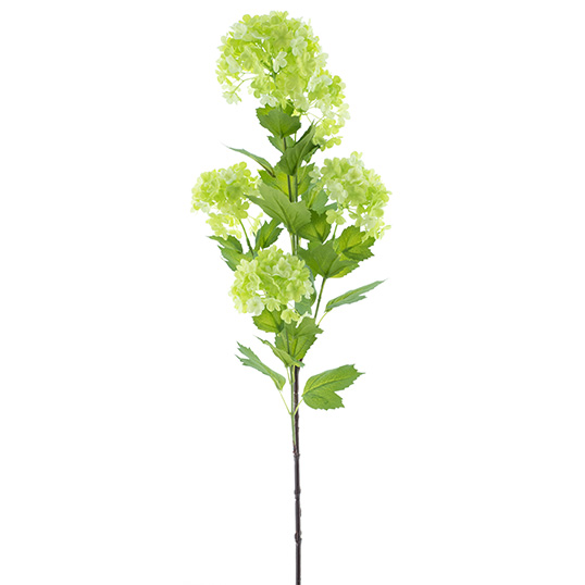 Viburnum flower spray green 88 cm