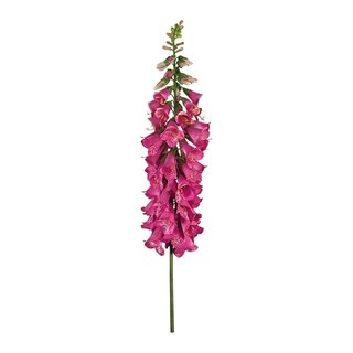 Kunst Vingerhoedskruid 127 cm - Fuchsia