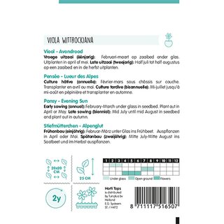 Horti Tops Viola, Viool Avondrood - afbeelding 2