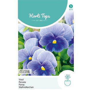 Horti Tops Viola, Viool Celestial - afbeelding 1