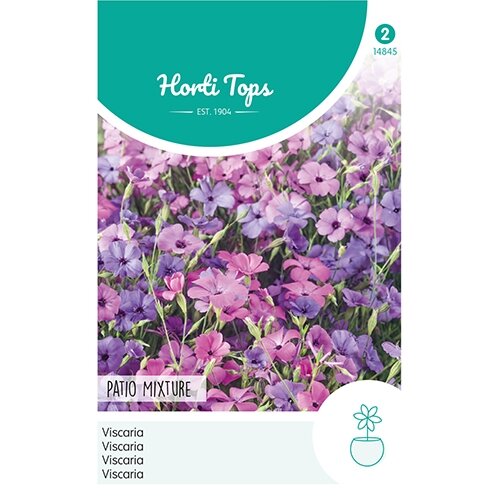 Horti TopsS Viscaria Patio Mixture - afbeelding 1