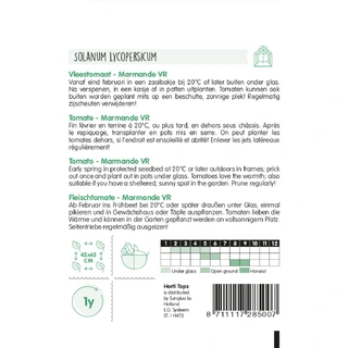 Horti Tops  Vleestomaat Marmande - afbeelding 2