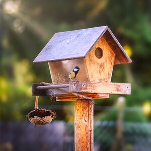 Vogelvoederhuis