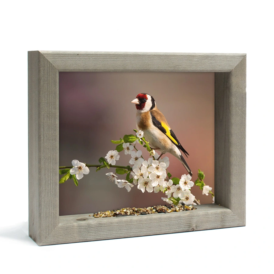Vogelvoederlijste Putter in Bloesem - 31x26 cm - afbeelding 1