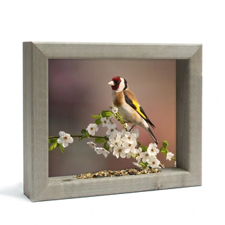 Vogelvoederlijste Putter in Bloesem - 31x26 cm - afbeelding 1