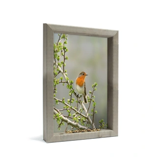 Vogelvoederlijstje Roodborst Struik - 34x41 cm - afbeelding 1
