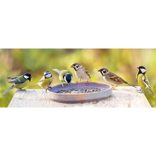 Vogelvoederlijstje Voedertijd - 102x42 cm - afbeelding 2