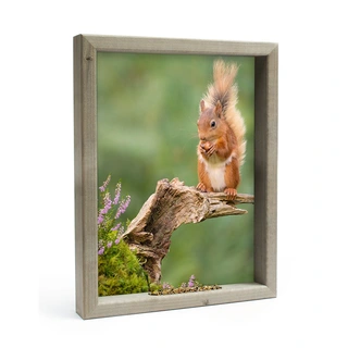 Vogelvoederlijstje Eekhoorn Groen - 51x41 cm - afbeelding 1