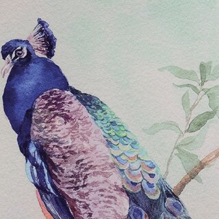 Wandkleed Peacock Velvet Blue - afbeelding 2