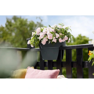 Elho Vibia Campana Flower Bridge Wandpot 40 cm - Antraciet - afbeelding 4