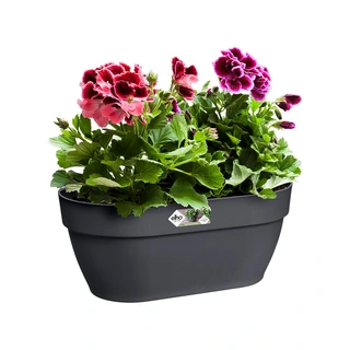 Elho Vibia Campana Wandpot 35 cm - Antraciet - afbeelding 3
