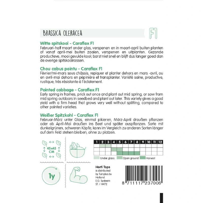 Horti Tops Wittekool Caraflex - afbeelding 2
