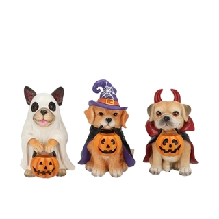 Wonderland Halloween hond assorti