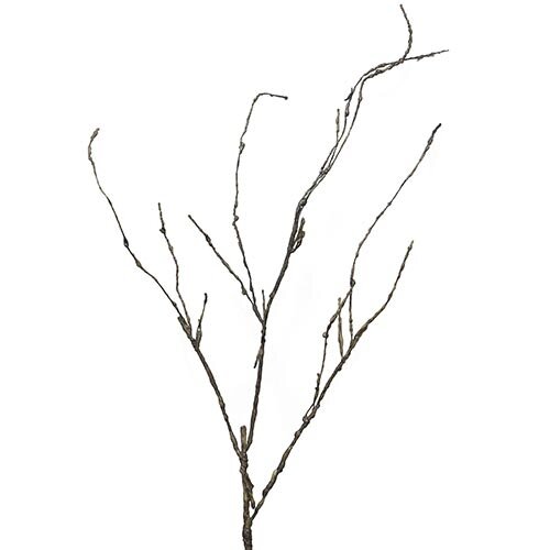 Kunst Wood Twig Cordata - 95cm