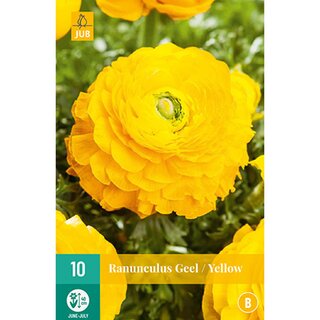 Ranunculus geel - 10 st.