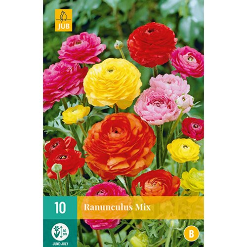 Ranunculus mix - 10 st.