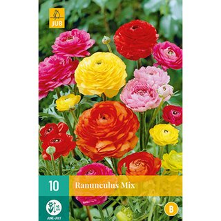 Ranunculus mix - 10 st.