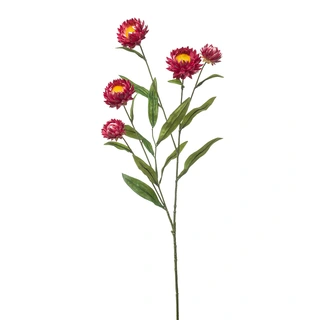 Kunst Xerochrysum Spray Fuchsia - 70 cm