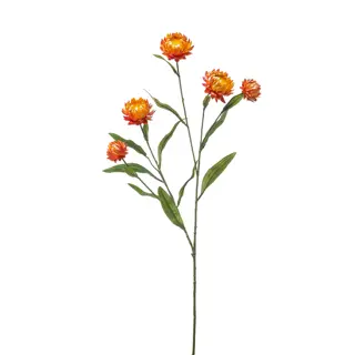 Kunst Xerochrysum Spray Orange - 70 cm | Tuincentrum De Boet
