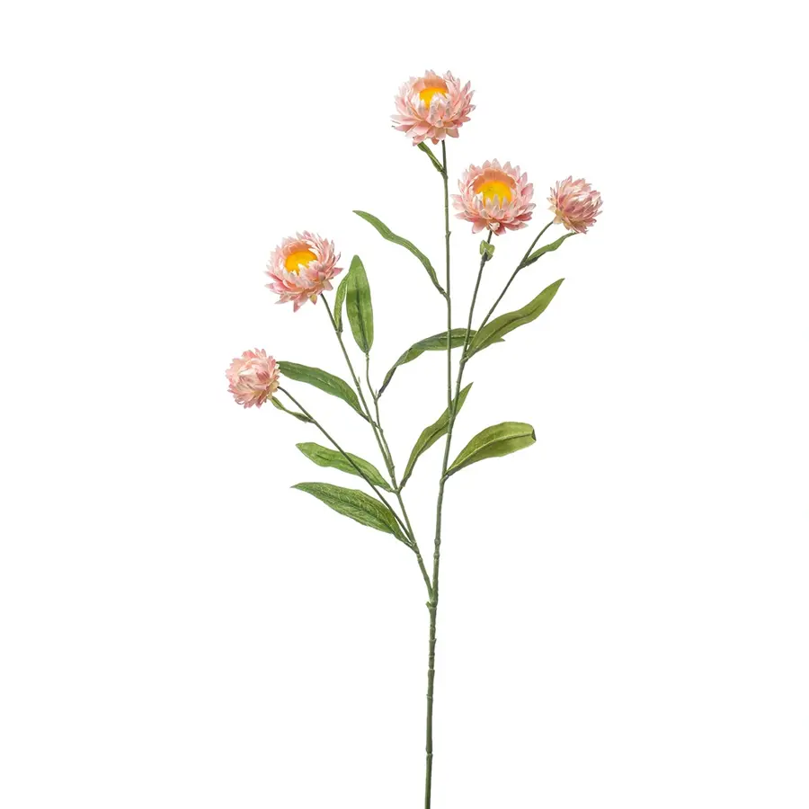 Kunst Xerochrysum Spray Pink - 70 cm