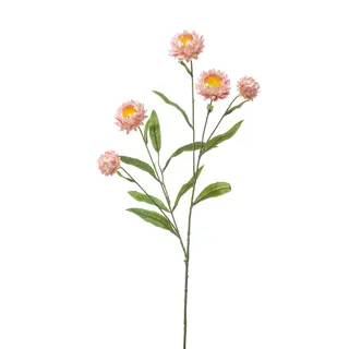 Kunst Xerochrysum Spray Pink - 70 cm