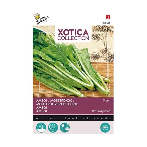Buzzy® Xotica Groene Amsoi of mosterdkool - afbeelding 1