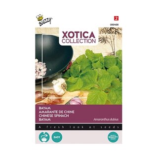 Buzzy® Xotica Bayam Klaroen - afbeelding 1