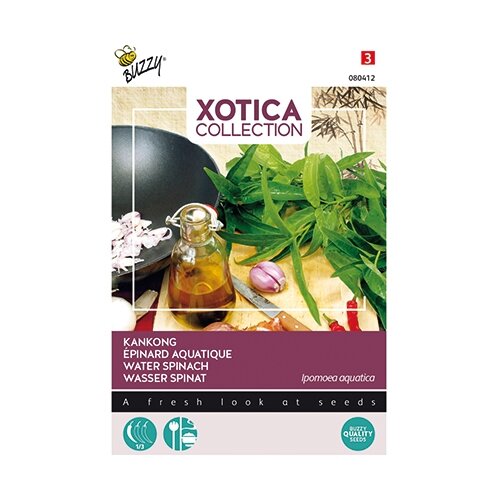Buzzy® Xotica Kankong, Waterspinazie of Dagoeblad - afbeelding 1