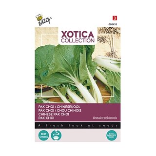 Buzzy® Xotica Pak choi Chinese kool - afbeelding 1